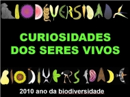 Biodiversidade 2010-curiosidades