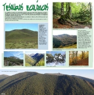 Exposición. As montañas galegas (4)