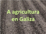 A agricultura en Galiza (1)
