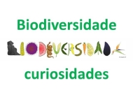 Biodiversidade 2010-curiosidades