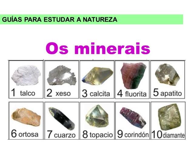 Os minerais (guía)