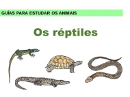 Animais: réptiles