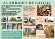 Exposición As árbores de Galicia 1