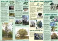 Exposición As árbores de Galicia 12