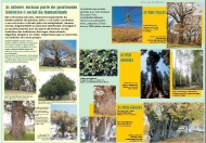 Exposición As árbores de Galicia 2
