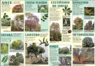 Exposición As árbores de Galicia 21