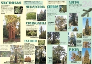Exposición As árbores de Galicia 24